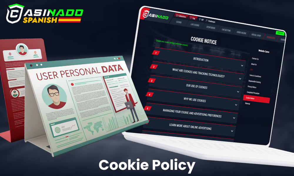 Cookie Policy Overview at Casinado Spain